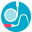 Dental CPA Accounting logo