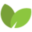 YAPI logo